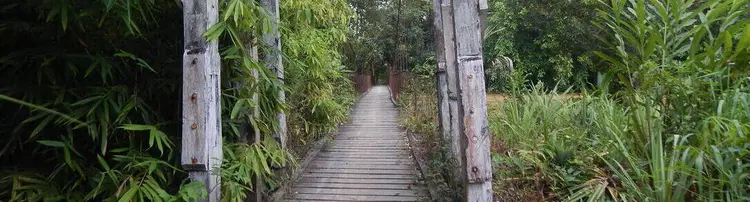 Gambar Website Urak Balangin internet